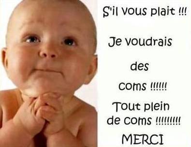 COMMENT REDIGER UN COMMENTAIRE ! COMMENT REDIGER UN COMMENTAIRE !