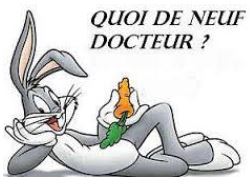 Certificat Médical Certificat Médical