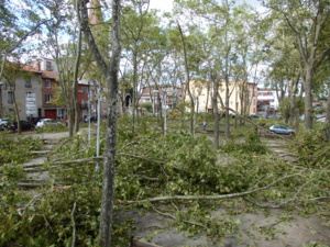 L'APOCALYPSE L'APOCALYPSE