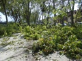 Tempête sur le quai Poult