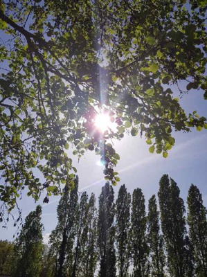 Qualification Championnat Essonne Doublette Mixte Baulne (91) Qualification Championnat Essonne Doublette Mixte Baulne (91)