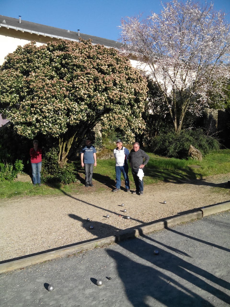 IMG_20190227_164932 IMG_20190227_164932