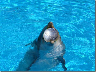 3ème Journée du Championnat Doublette à Sainte Thérèse, résultats Exceptionnelles de nos boulistes 3ème Journée du Championnat Doublette à Sainte Thérèse, résultats Exceptionnelles de nos boulistes