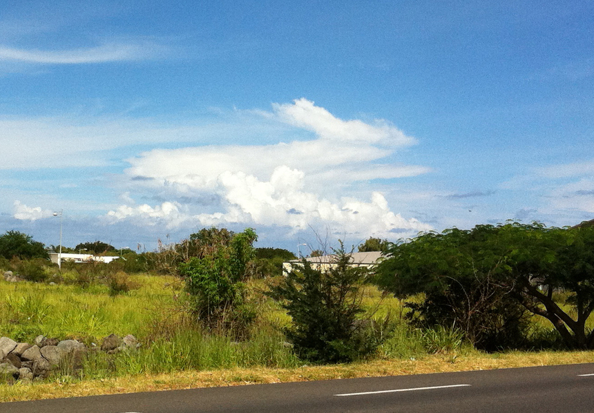 Nos amis les bêtes nous donnent le sourire Nos amis les bêtes nous donnent le sourire