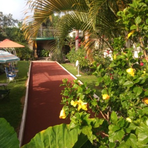 Cancha al amanecer Cancha al amanecer