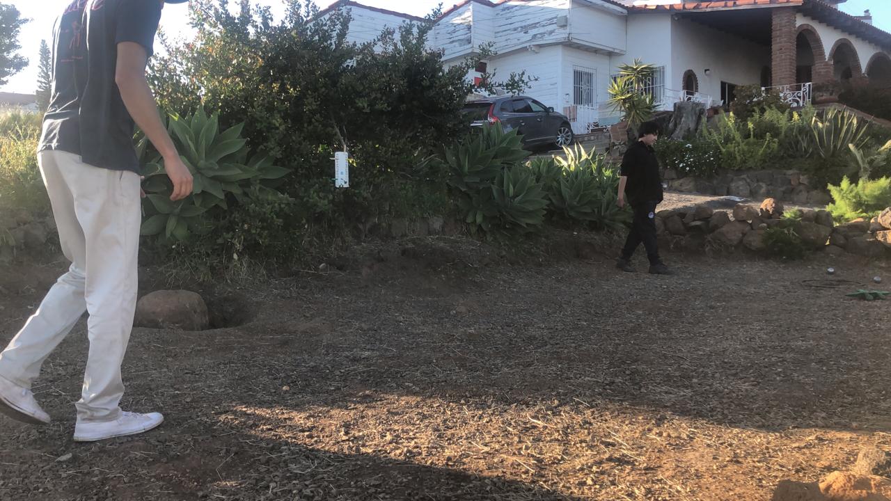 WhatsApp Image 2020-04-23 at 20.05.02 WhatsApp Image 2020-04-23 at 20.05.02