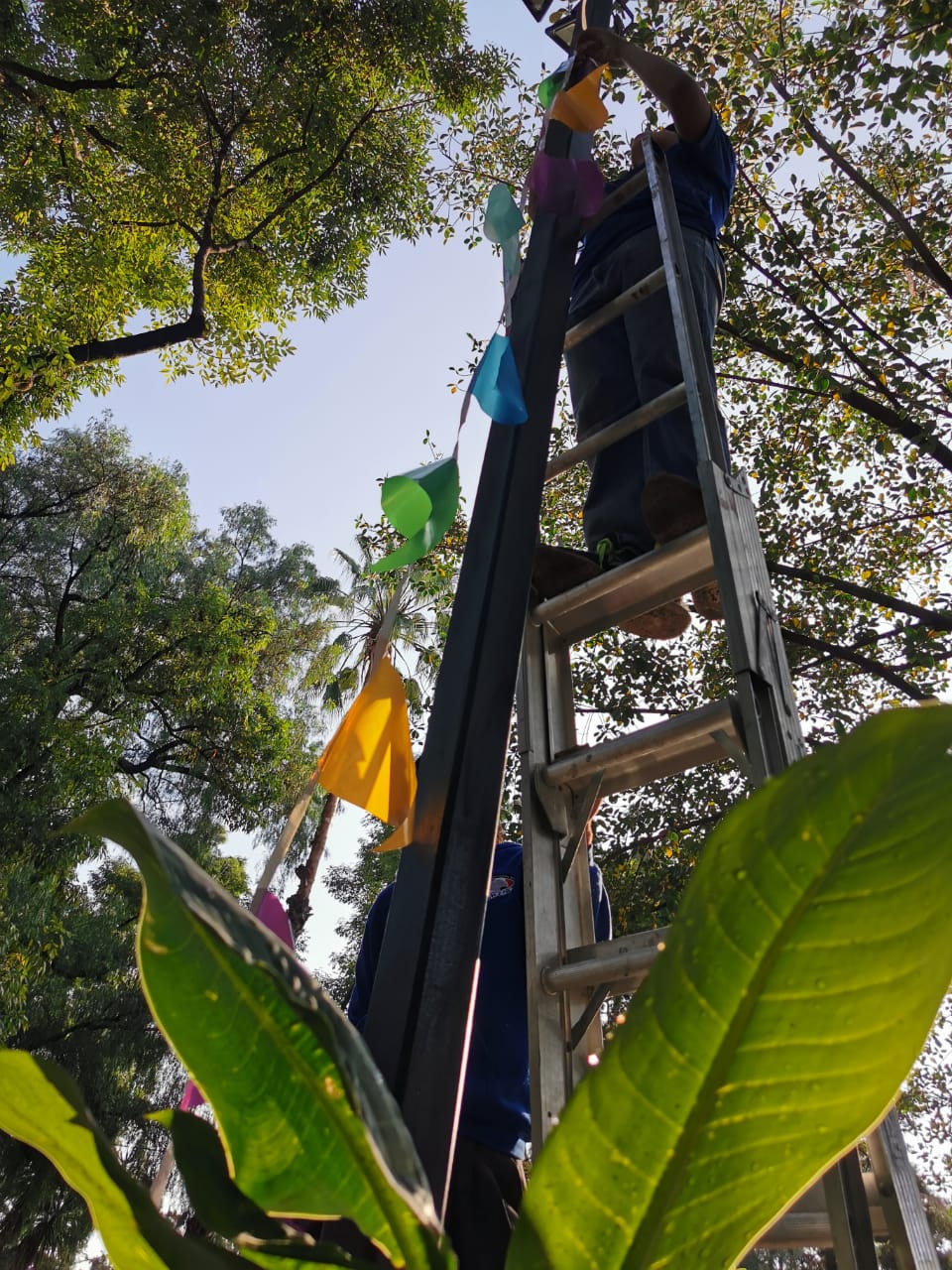 IMG-20200926-WA0029 IMG-20200926-WA0029