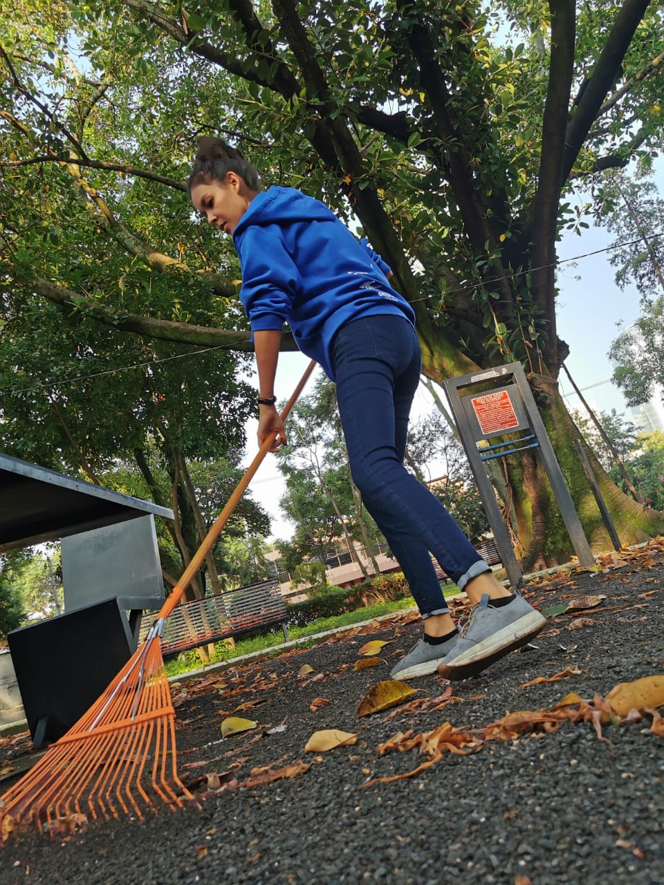 IMG-20200926-WA0033 IMG-20200926-WA0033