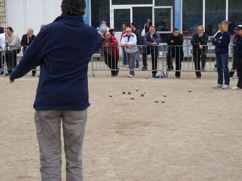 P1010601.jpg P1010601.jpg