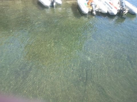 2011-06-14 11.31.41.jpg