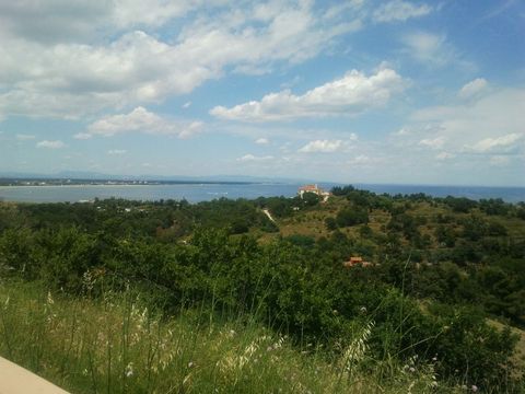 2011-06-14 14.32.19.jpg