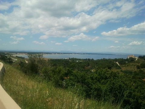 2011-06-14 14.32.30.jpg