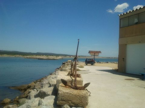 2011-06-15 12.57.34.jpg