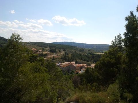 2011-06-15 16.58.18.jpg 2011-06-15 16.58.18.jpg