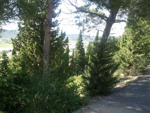 2011-06-15 17.00.46.jpg