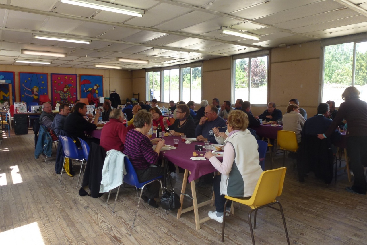 P1040381 (Copier) P1040381 (Copier)