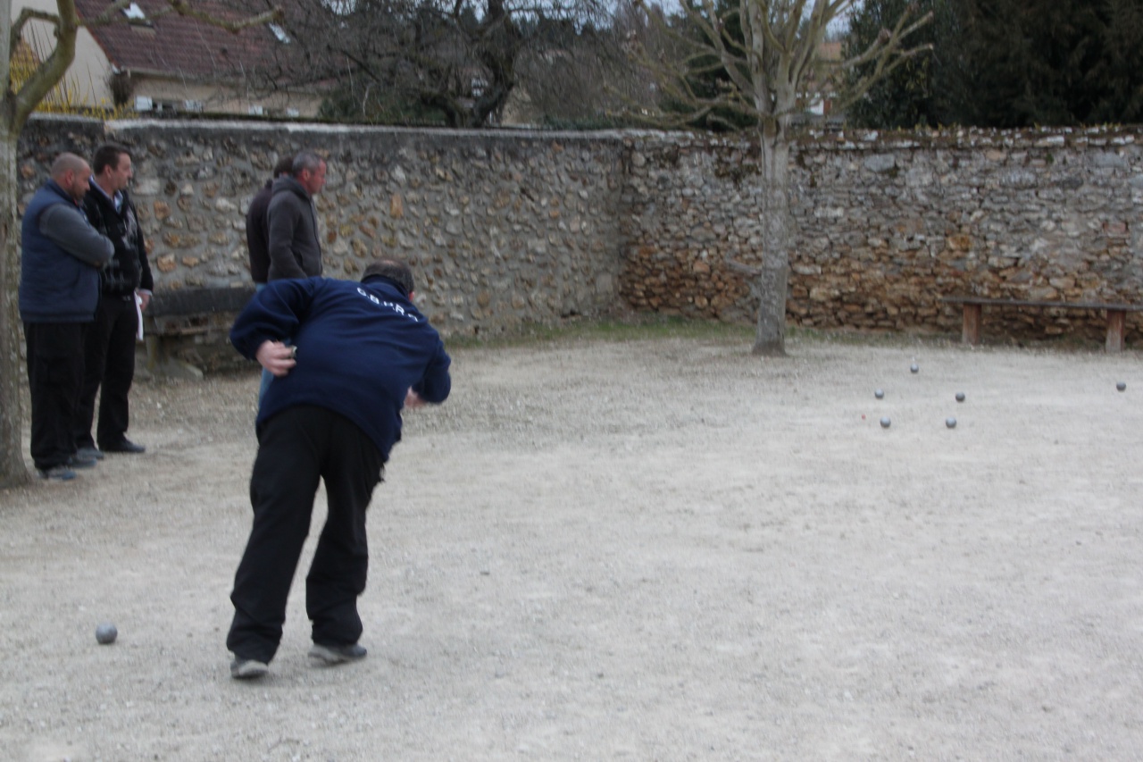 IMG_8616-compressed IMG_8616-compressed