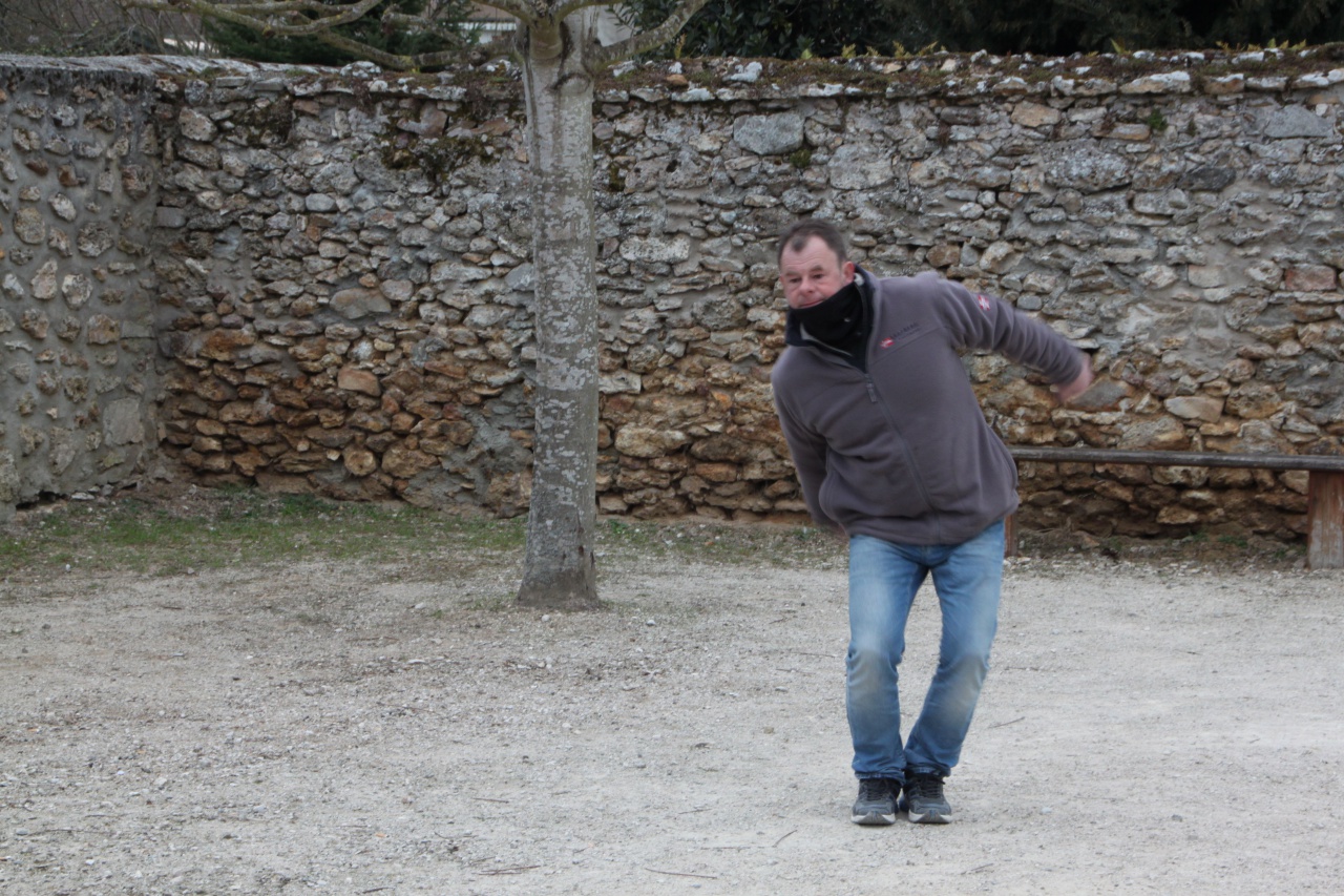 IMG_8618-compressed IMG_8618-compressed