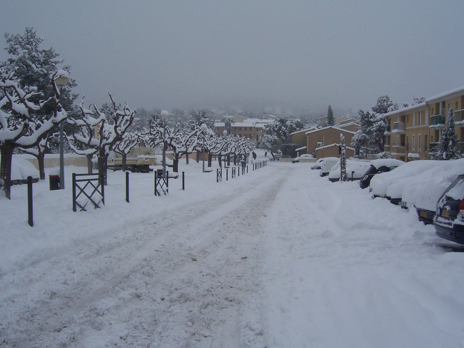 07-01-2009 L'allée du parc