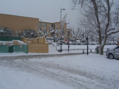 7 janvier 2009 005