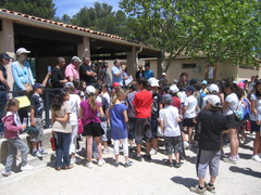 concours des écoles 052.jpg concours des écoles 052.jpg