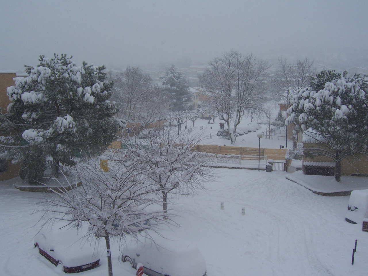 7 janvier 2009 002 7 janvier 2009 002