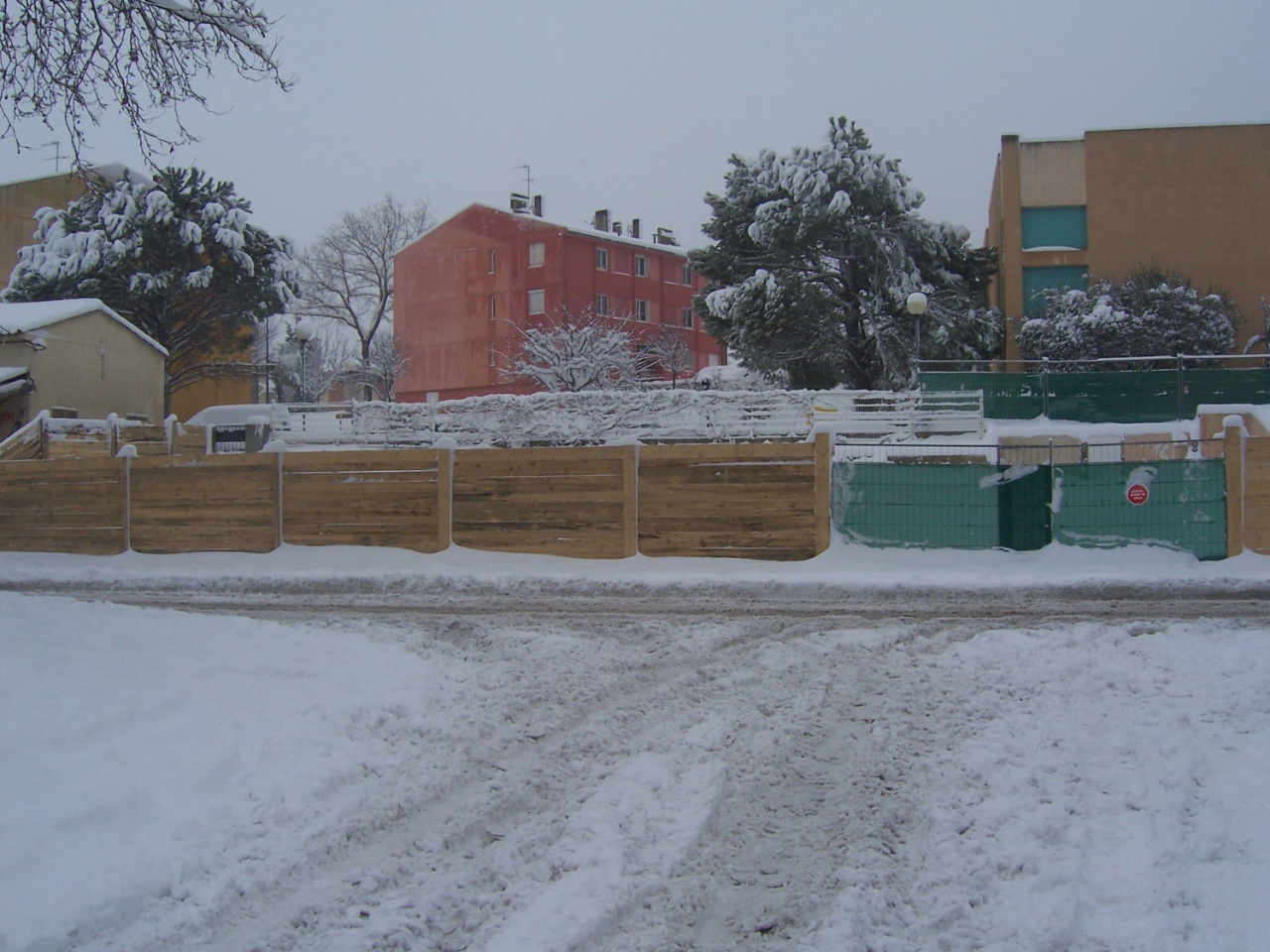 7 janvier 2009 004 7 janvier 2009 004