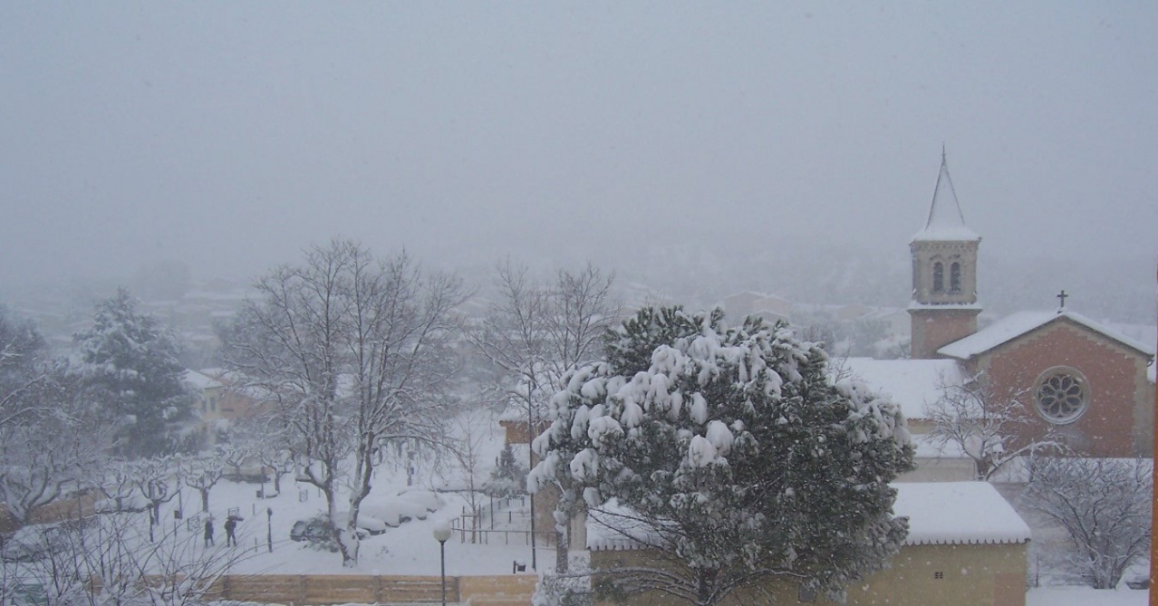 Copie de 7 janvier 2009 001 Copie de 7 janvier 2009 001