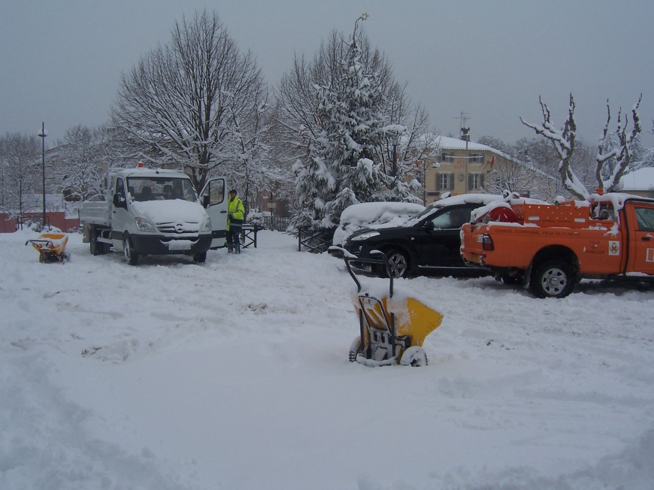 7 janvier 2009 010 7 janvier 2009 010