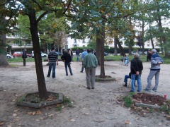 Entre les arbres