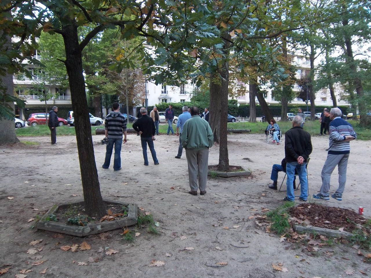 Entre les arbres