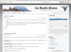 LA BOULE BRUNE