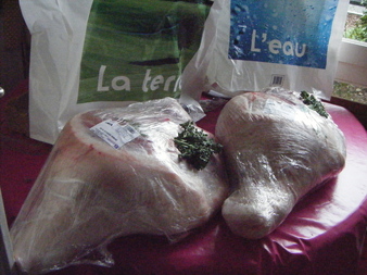 concours de belote à la pétanque Saint Donatien concours de belote à la pétanque Saint Donatien