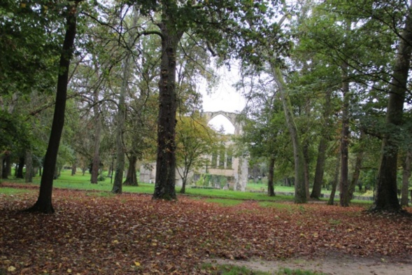 Championnat départemental de para pétanque adaptée de Seine-et-Marne Championnat départemental de para pétanque adaptée de Seine-et-Marne