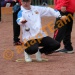 Chpt France FFSA 2024 (109)
