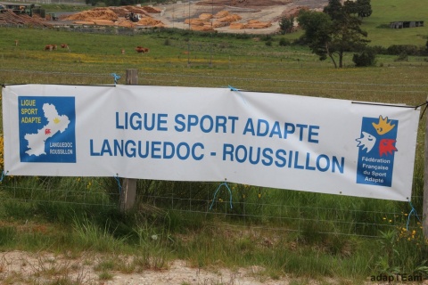 IMG_9099 (Copier) IMG_9099 (Copier)