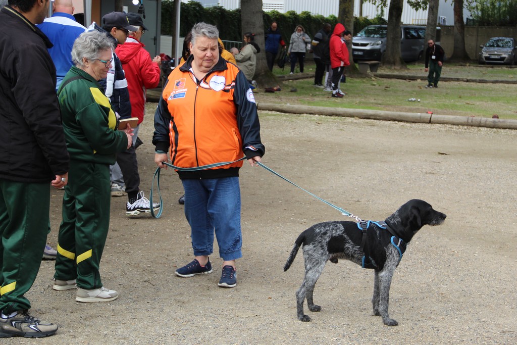 Chpt. Dep. 94 (44) Chpt. Dep. 94 (44)