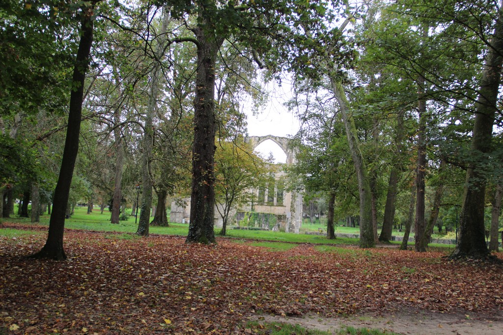 Chpt. Dep. 77 (21) Chpt. Dep. 77 (21)