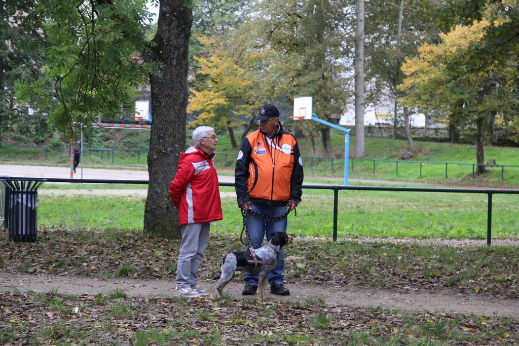 Chpt. Dep. 77 (35) Chpt. Dep. 77 (35)