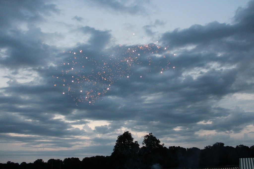 Châteauneuf-sur-Loire 2025 (76) Châteauneuf-sur-Loire 2025 (76)