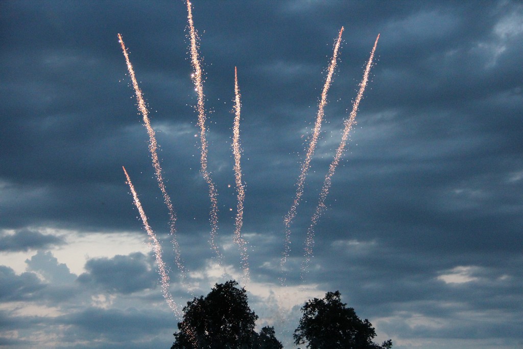 Châteauneuf-sur-Loire 2025 (77) Châteauneuf-sur-Loire 2025 (77)