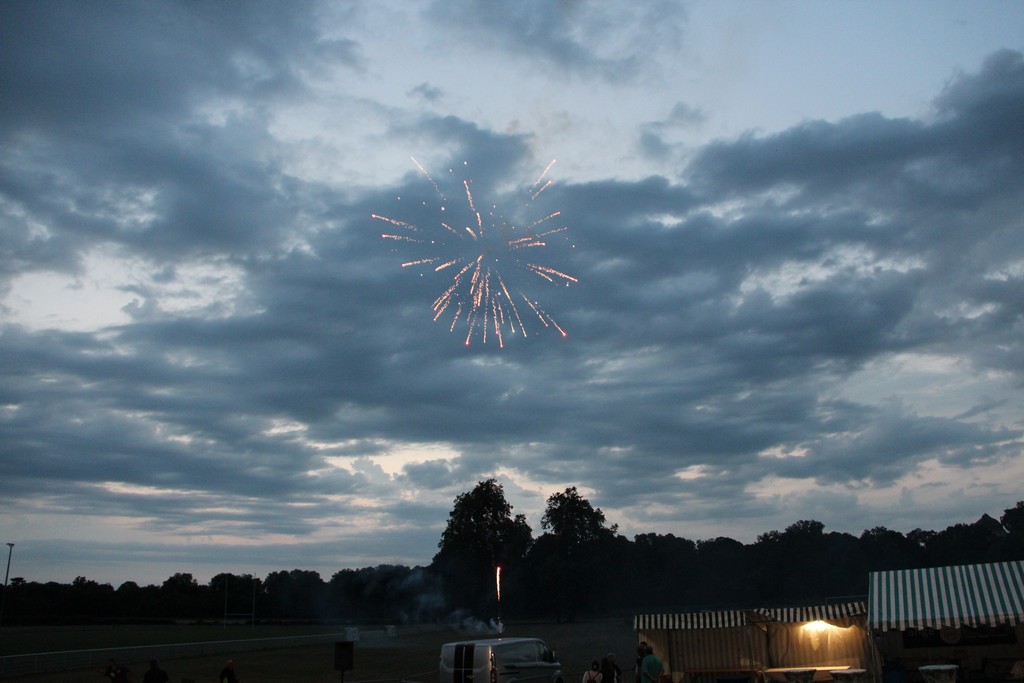 Châteauneuf-sur-Loire 2025 (79) Châteauneuf-sur-Loire 2025 (79)