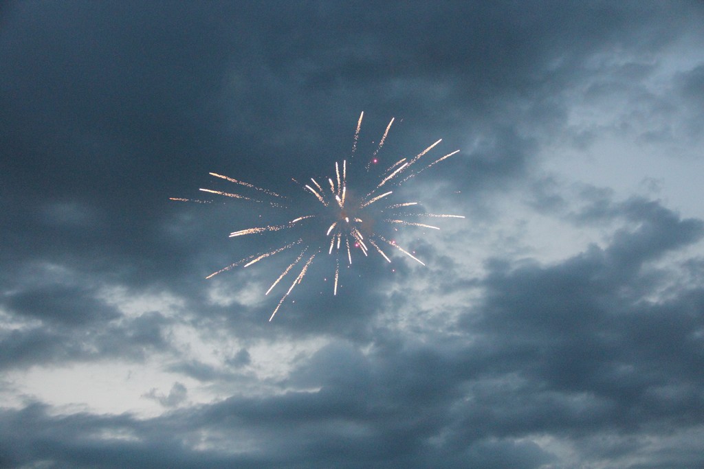 Châteauneuf-sur-Loire 2025 (82) Châteauneuf-sur-Loire 2025 (82)