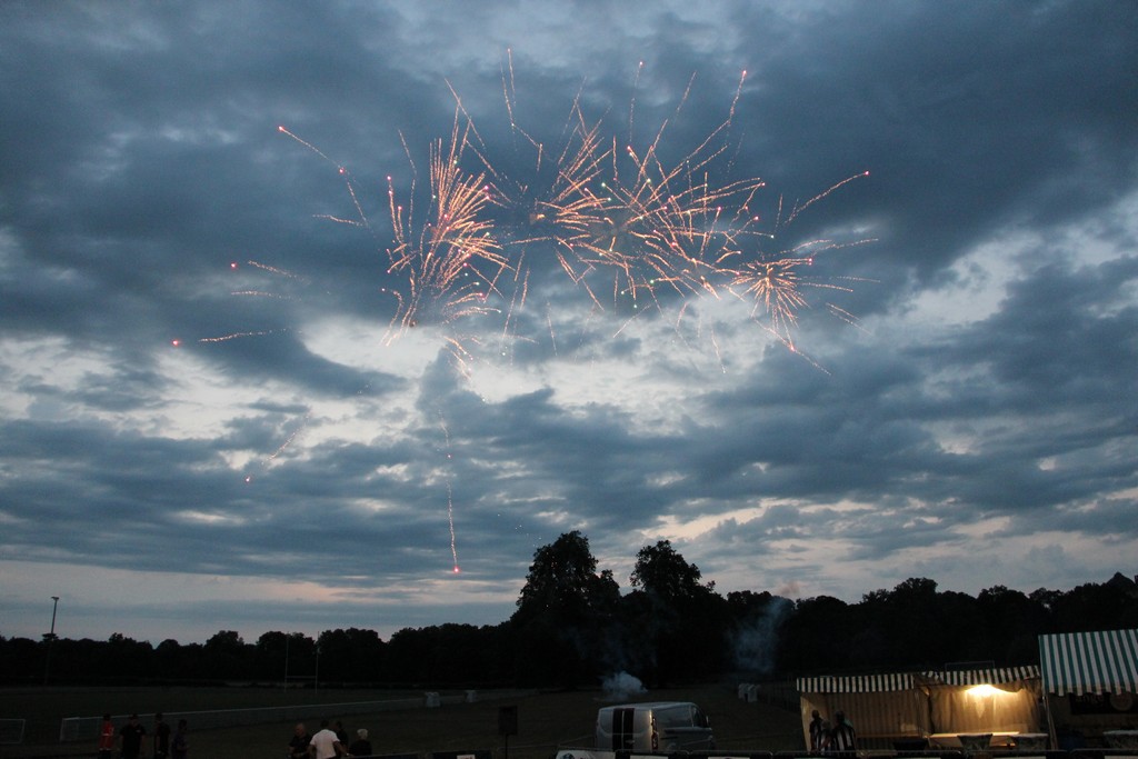 Châteauneuf-sur-Loire 2025 (83) Châteauneuf-sur-Loire 2025 (83)