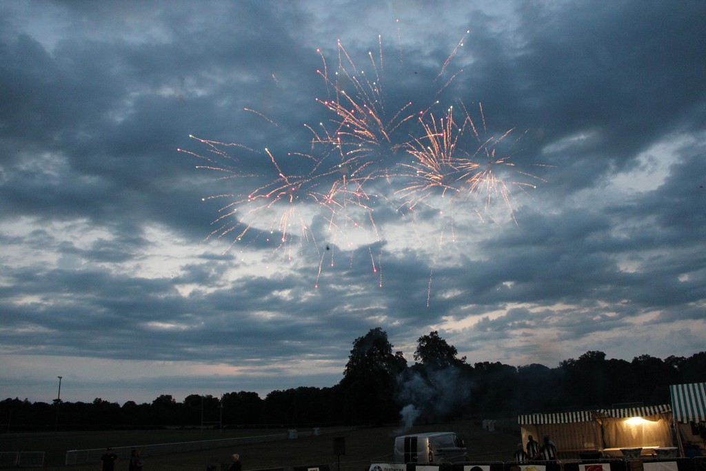 Châteauneuf-sur-Loire 2025 (85) Châteauneuf-sur-Loire 2025 (85)