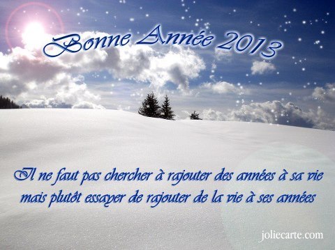 VOEUX 2013 VOEUX 2013
