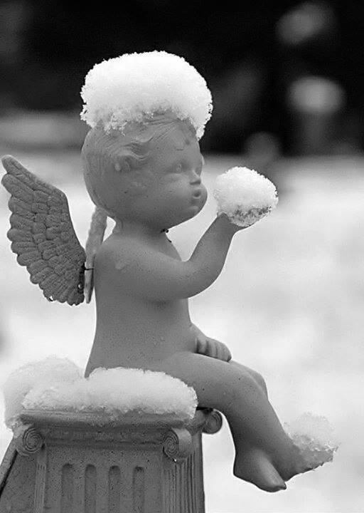 Voeu Provençal - Conte de Noel - Nouvel An Voeu Provençal - Conte de Noel - Nouvel An