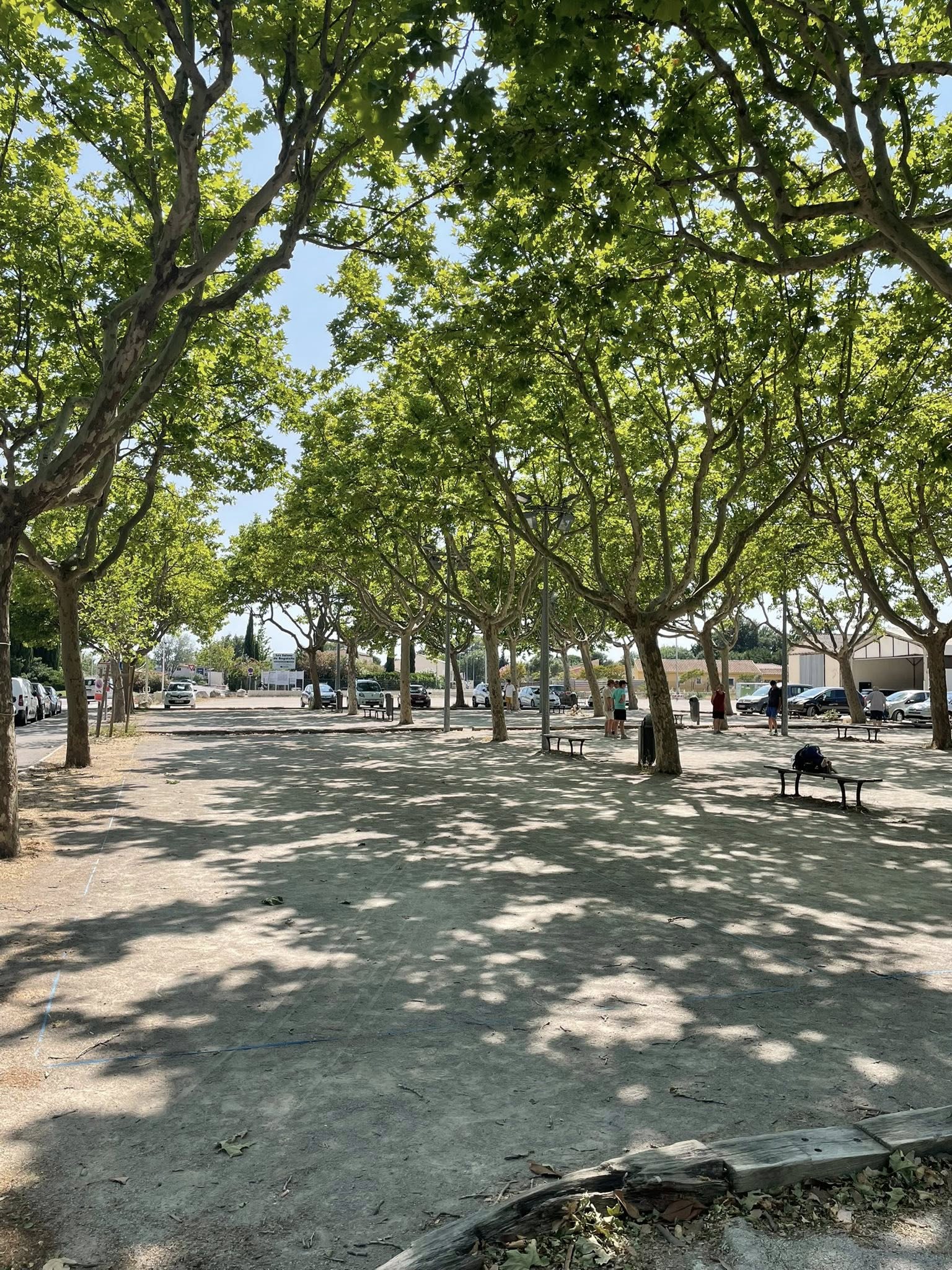 Les jeux magnifiques et ombragés du Foirail ! Attention ça roule ! Les jeux magnifiques et ombragés du Foirail ! Attention ça roule !