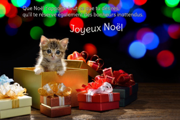 les présidents et les membres du bureau vous souhaitent un JOYEUX NOEL