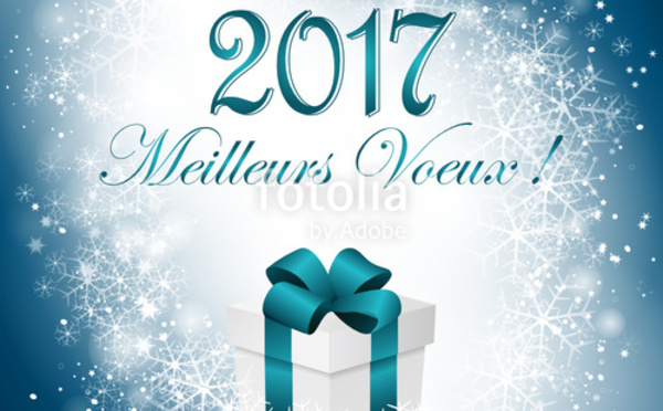 Meilleurs voeux
